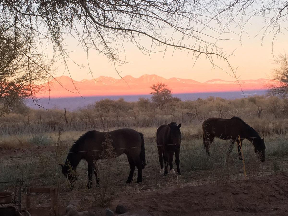 Andes Nomads Desert Camp & Lodge San Pedro de Atacama Exterior photo